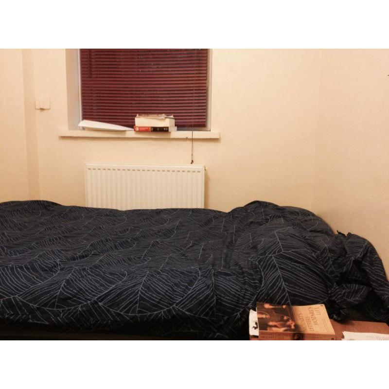 Nice room in friendly Hoxton flatshare close to Old Street tube