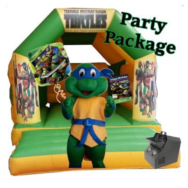 Minion / Teenage Ninja Turtle / Frozen & Peppa Pig Themed Party Packages