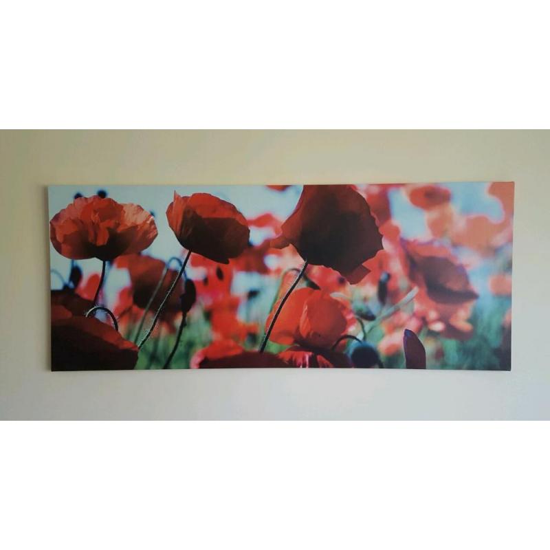 Large poppy canvas