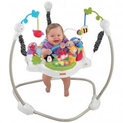 Fisher Price Discover and n Grow Jungle Piano Jumper Jumperoo Bouncer