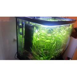 Fluval U3 internal filter for fish tank up to 150L (fully cycled)