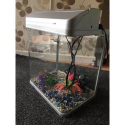 Fish tank and all accessories