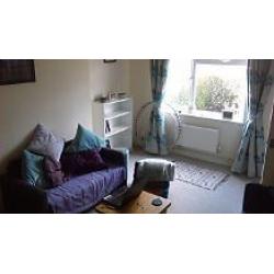 small/medium double in vegan house share in horfield