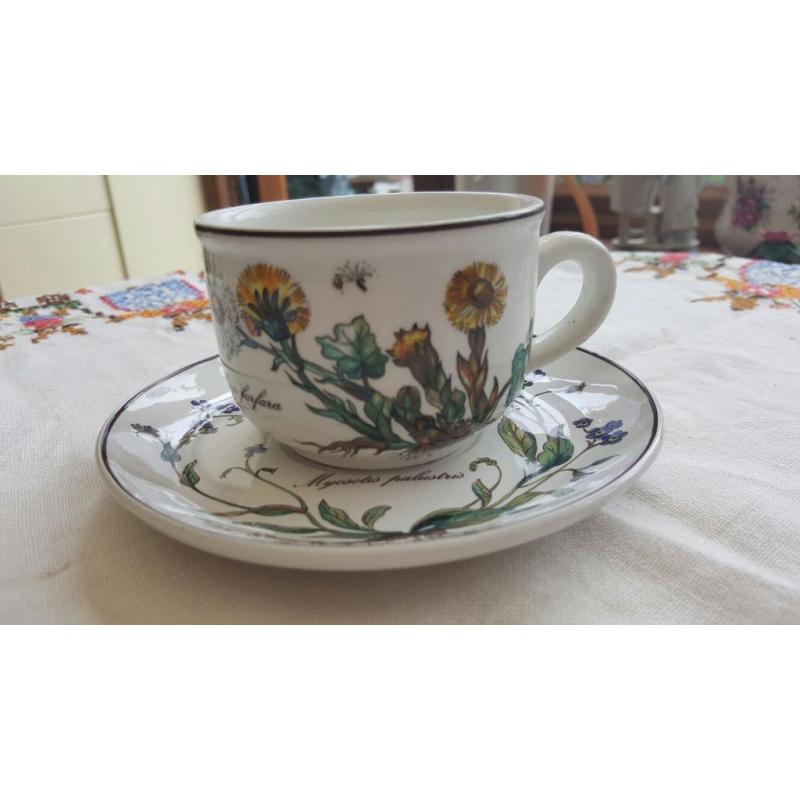 Villeroy & Boch Botanica tea cups, coffee cups and saucers