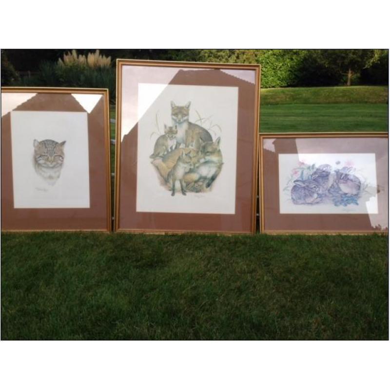 Three Patrick Oxenham animal prints