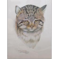 Three Patrick Oxenham animal prints