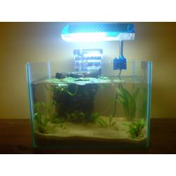 FISH TANK with fish and equipment for Sale