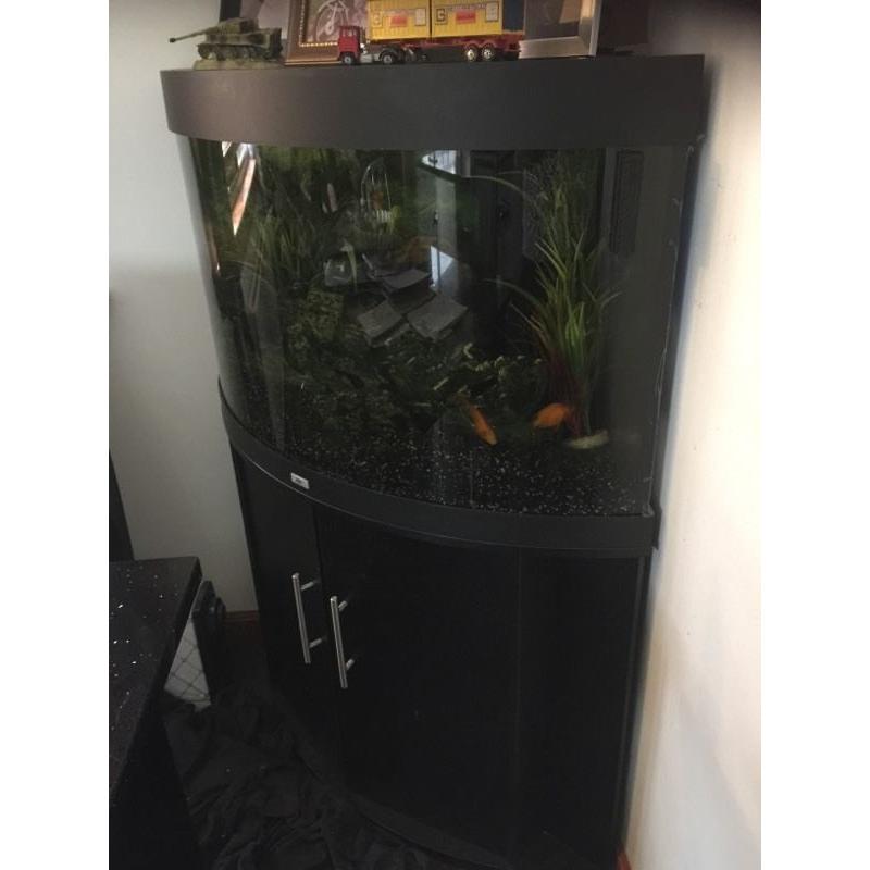 Jewel fish tank