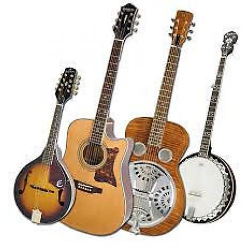 Guitarist , mandolin , banjo , accordion etc wanted
