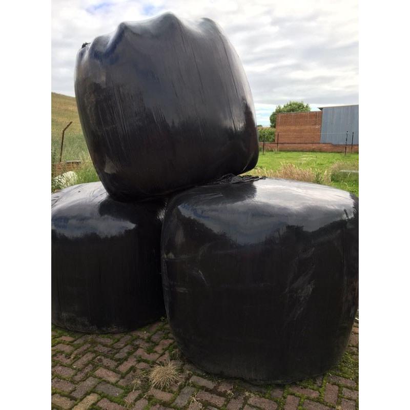 Haylage Bales