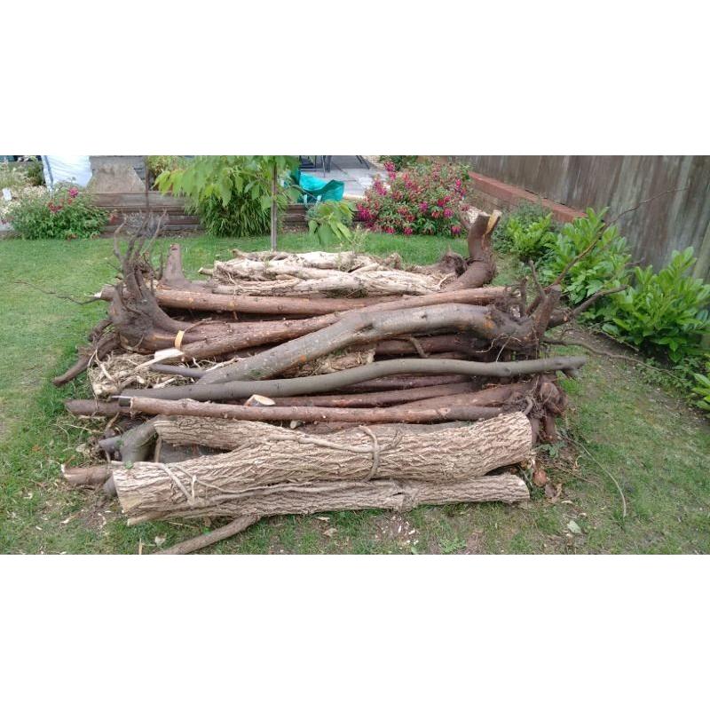 Free Firewood and Logs | Assorted Sizes | Ideal for Woodburner | Free to Collect