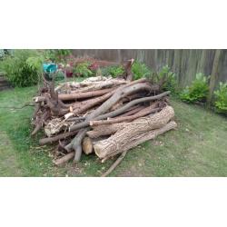 Free Firewood and Logs | Assorted Sizes | Ideal for Woodburner | Free to Collect