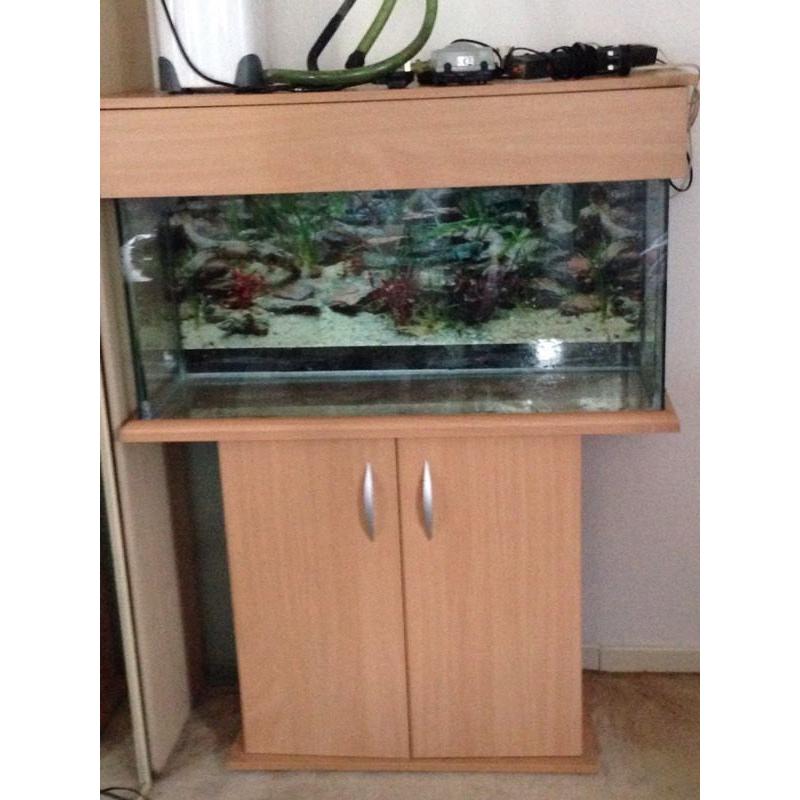 Fish tank with stand.