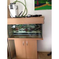 Fish tank with stand.