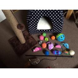 Cat Bed And accessories For sale