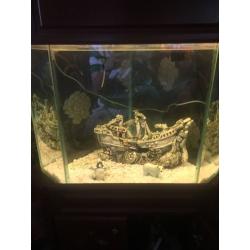 Corner fish tank for sale