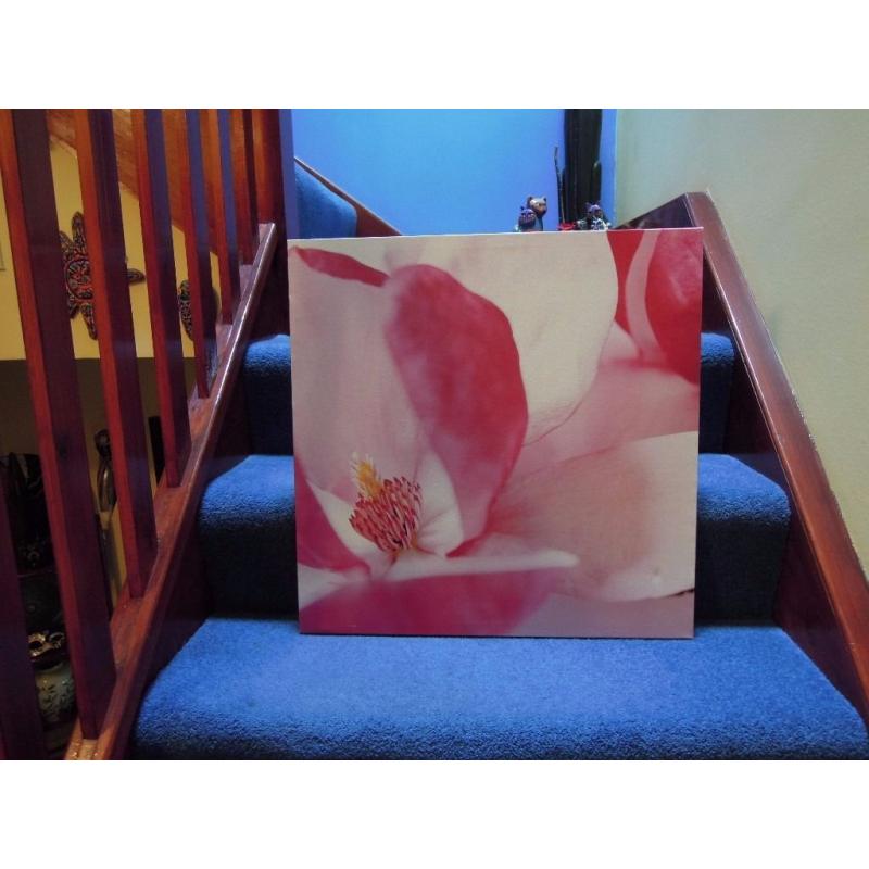 Beautiful Pink Flower Canvas Print