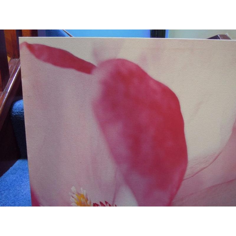 Beautiful Pink Flower Canvas Print