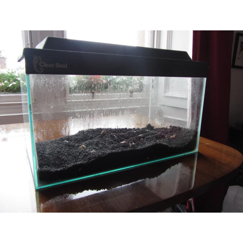 Fish tank with gravel (Glass, good starter tank)