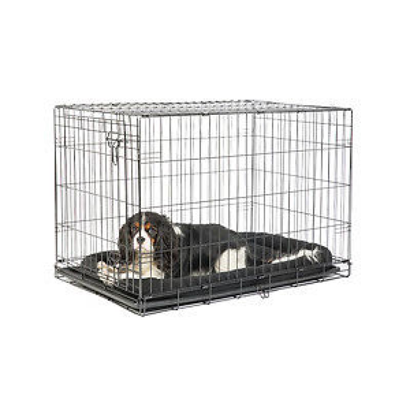 Pets At Home Medium Single Door Training Crate