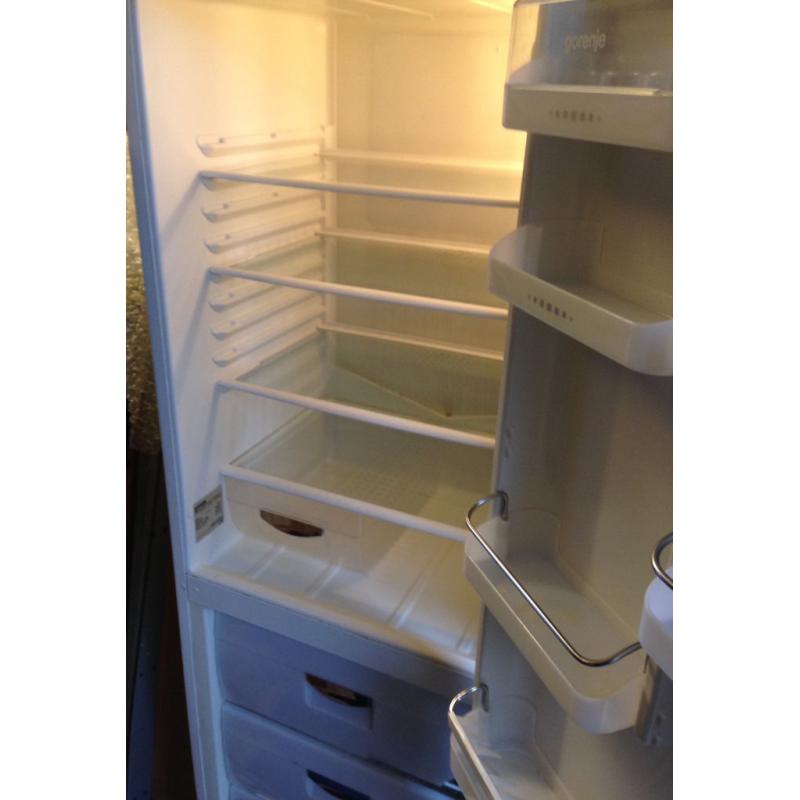 tall fridge freezer Gorenje