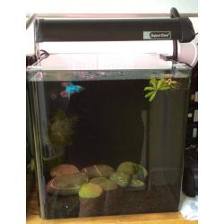 Aqua One Nano Fish Tank