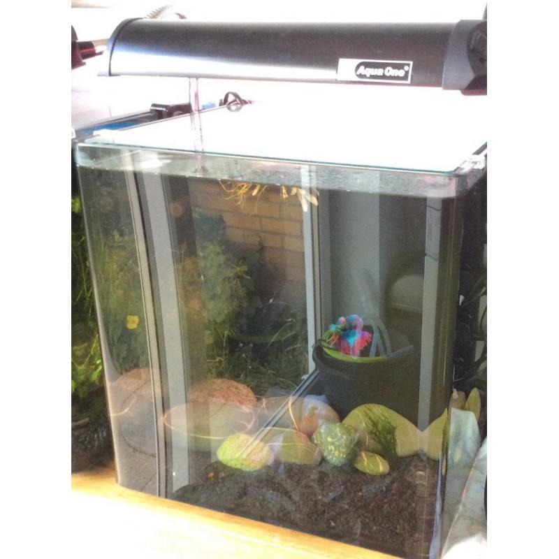 Aqua One Nano Fish Tank