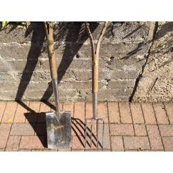 Garden fork and spade