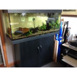 Jewel fish tank and storage base