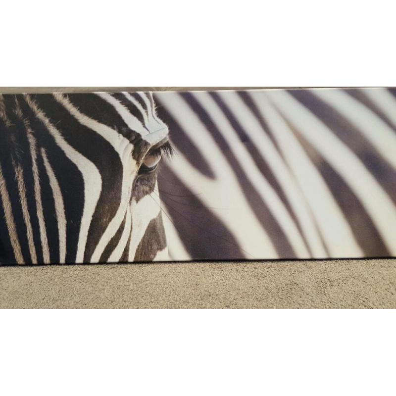 Zebra print canvas