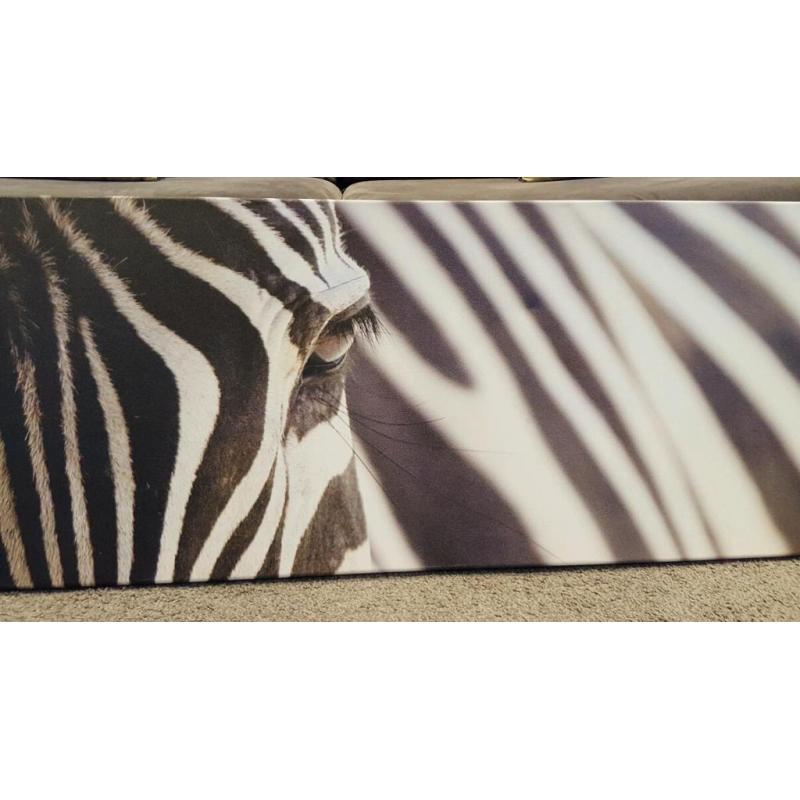 Zebra print canvas