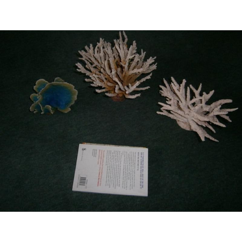 3 pieces of Marine coral, resin, very realistic