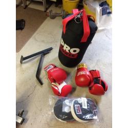 Boxing training set