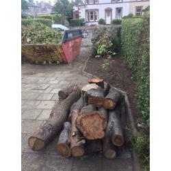 Logs for sale