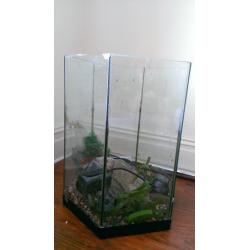 Hexagonal Fish tank for sale