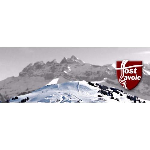 Ski Season Chalet Staff Sought - Hosts, Assistants and a Team Leader! ( Morzine, France)
