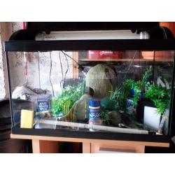Fish Tank / Aquarium and Stand