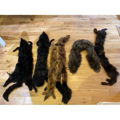 5 Fur Stoles and 1 Fur Wrap. Vintage and in super condition.