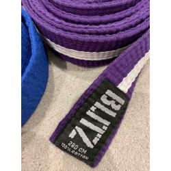 Martial Art Kung Fu Karate Thai Chi belts x 6 (280cm)