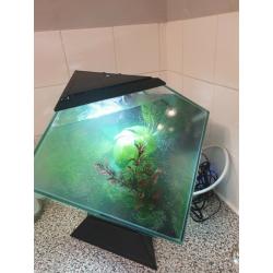 Fish tank /viv
