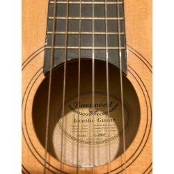 Acoustic guitar burswood