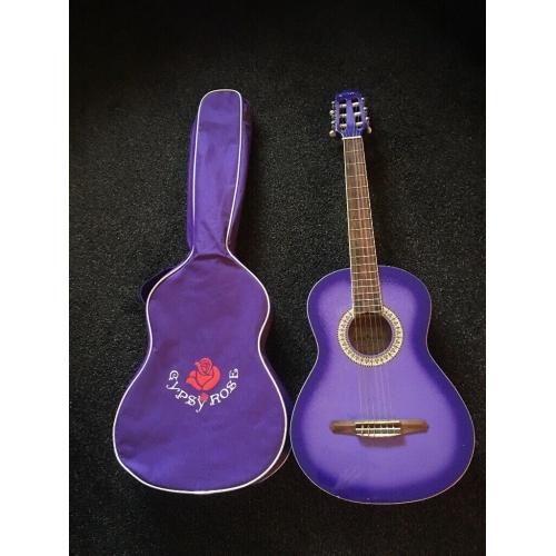 Gypsy Rose Acoustic guitar with case .. suitable for beginner